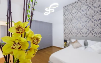 camera in trasparenza_risultato