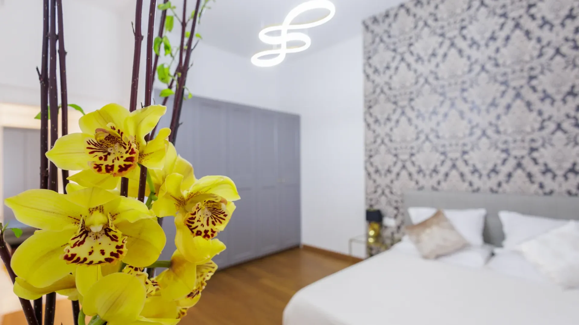 camera in trasparenza_risultato