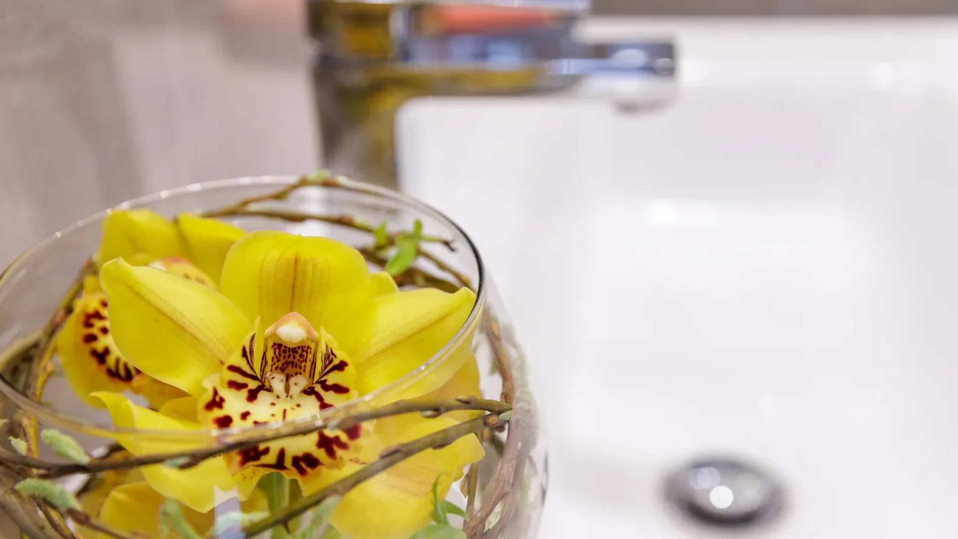 particolare fiore 2_risultato