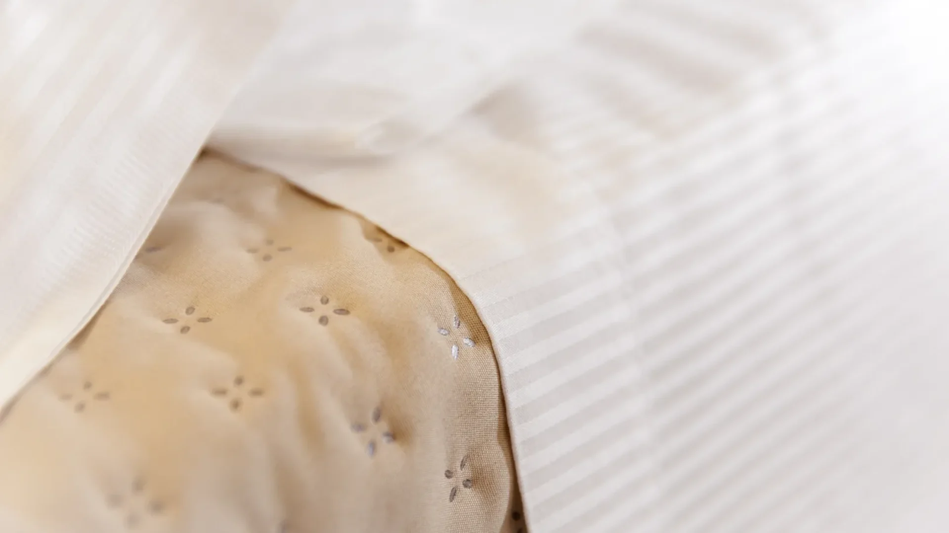 particolare lenzuola 2_risultato