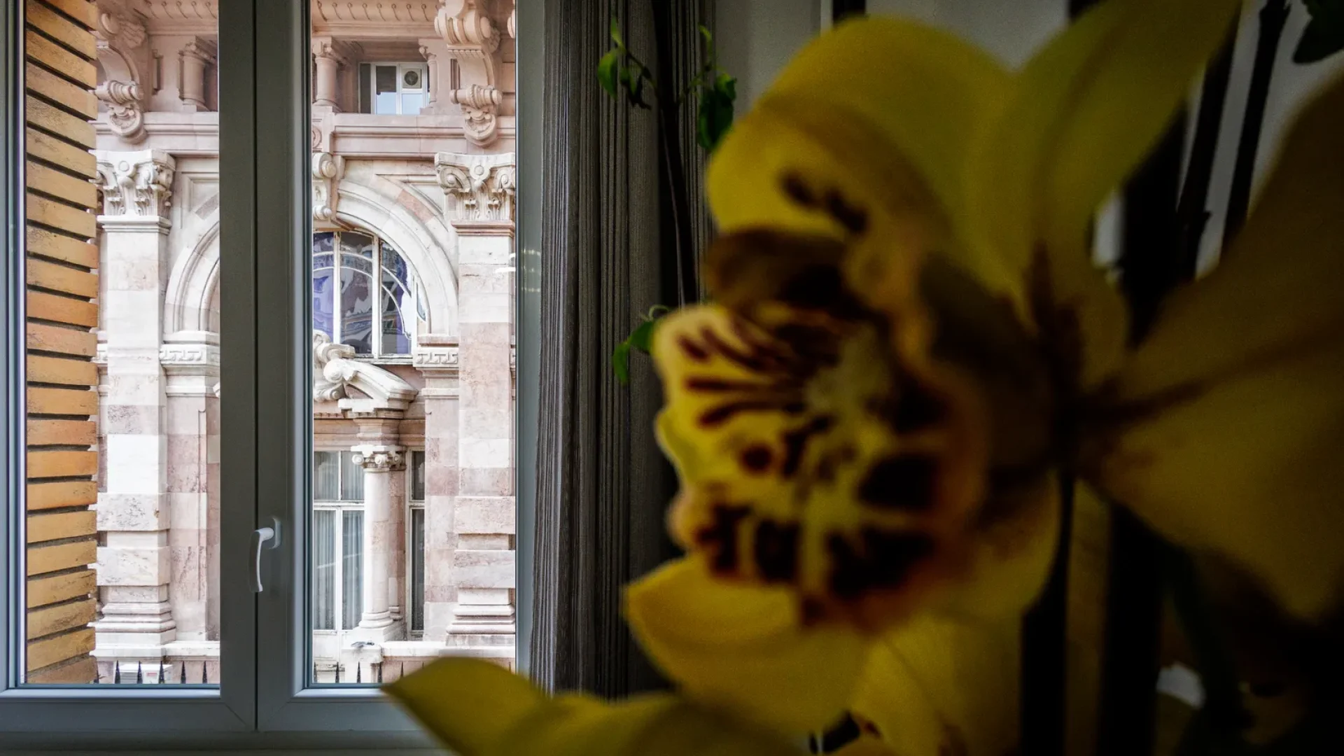 vista palazzo_risultato